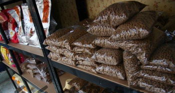 三好街五里河街沈音東門寵物店 您的寵物生活一站式服務(wù)專家